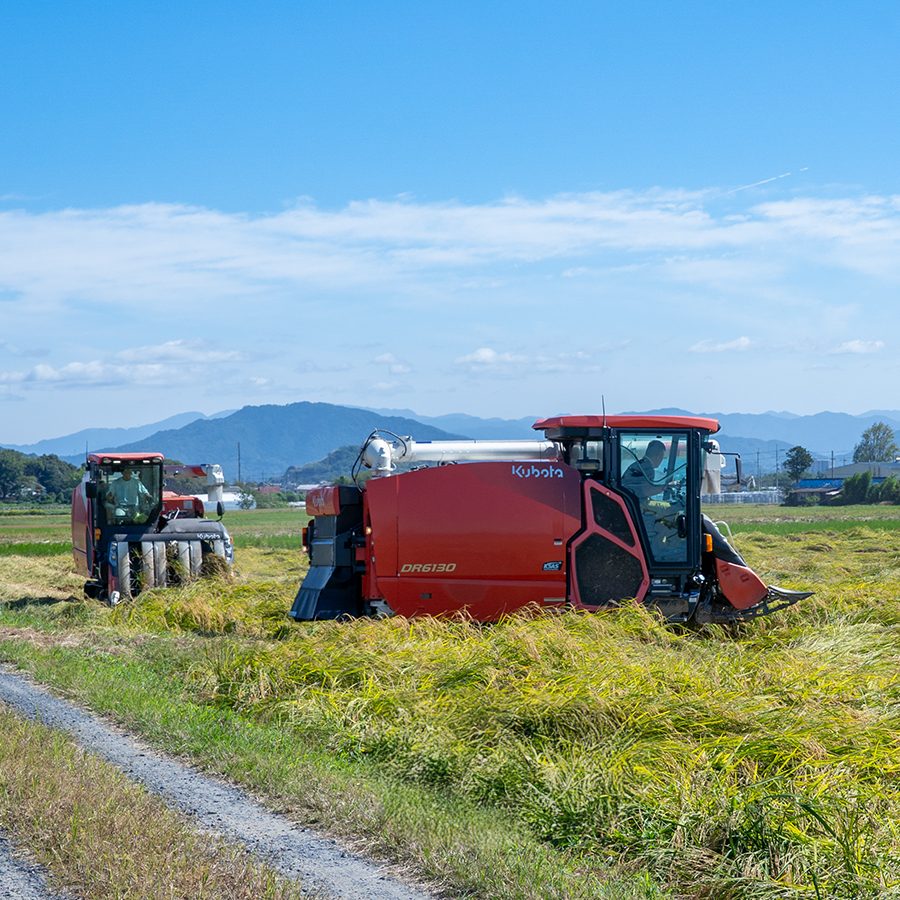 DSC07276re_instagram DSC07276re_instagram